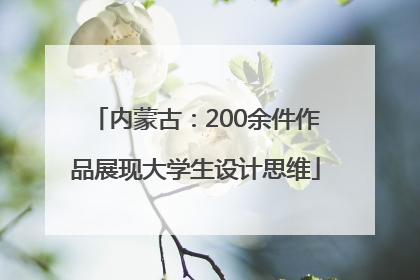内蒙古：200余件作品展现大学生设计思维