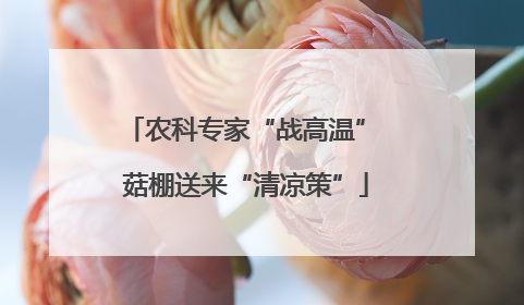 农科专家“战高温” 菇棚送来“清凉策”