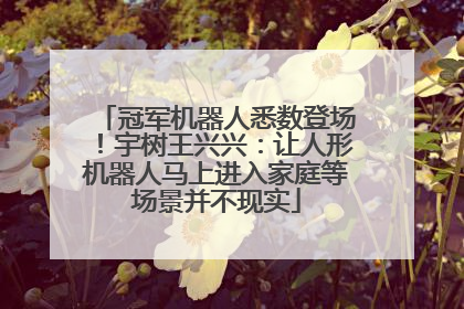 冠军机器人悉数登场！宇树王兴兴：让人形机器人马上进入家庭等场景并不现实
