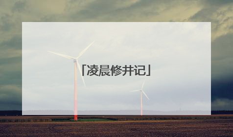 凌晨修井记