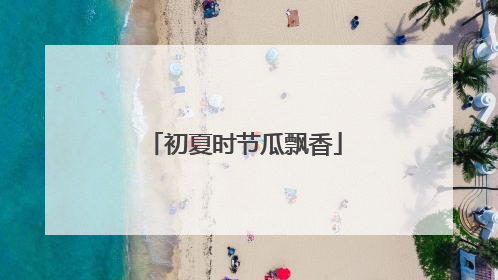 初夏时节瓜飘香