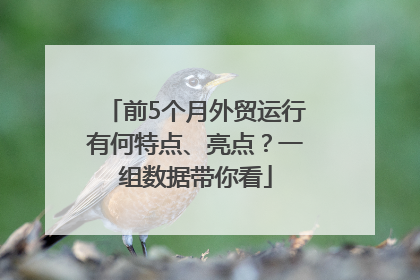 前5个月外贸运行有何特点、亮点？一组数据带你看