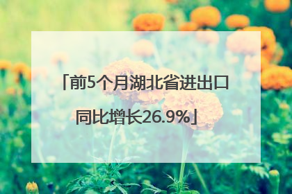 前5个月湖北省进出口同比增长26.9%