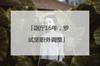 副厅16年，罗试坚职务调整
