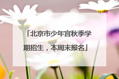 北京市少年宫秋季学期招生，本周末报名
