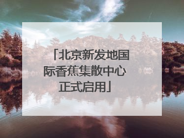 北京新发地国际香蕉集散中心正式启用