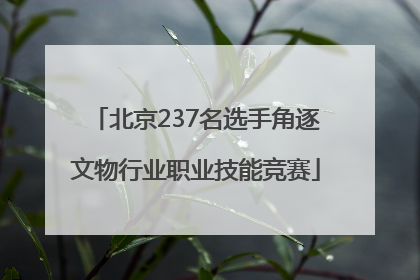 北京237名选手角逐文物行业职业技能竞赛