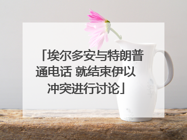 埃尔多安与特朗普通电话 就结束伊以冲突进行讨论