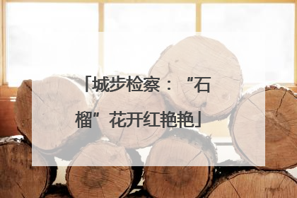 城步检察：“石榴”花开红艳艳