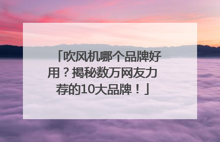 吹风机哪个品牌好用？揭秘数万网友力荐的10大品牌！