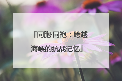 同胞·同袍：跨越海峡的抗战记忆