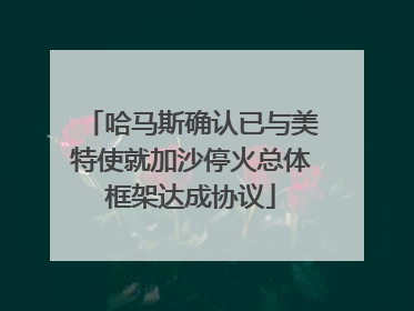 哈马斯确认已与美特使就加沙停火总体框架达成协议