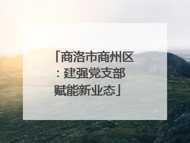 商洛市商州区：建强党支部 赋能新业态