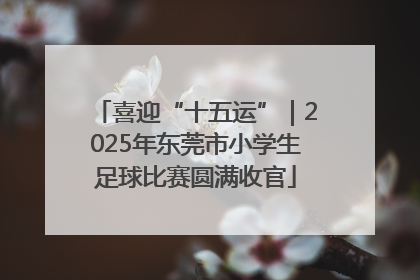喜迎“十五运”｜2025年东莞市小学生足球比赛圆满收官