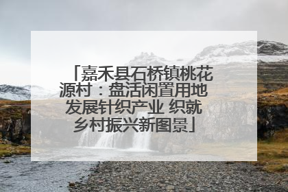嘉禾县石桥镇桃花源村：盘活闲置用地发展针织产业 织就乡村振兴新图景
