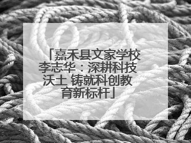 嘉禾县文家学校李志华：深耕科技沃土 铸就科创教育新标杆
