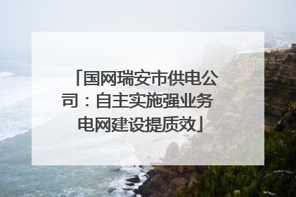 国网瑞安市供电公司：自主实施强业务 电网建设提质效