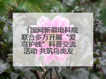 国网新疆电科院联合多方开展“爱鸟护线”科普交流活动 共筑鸟类友好城市