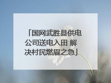 国网武胜县供电公司送电入田 解决村民燃眉之急