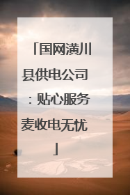 国网潢川县供电公司：贴心服务麦收电无忧