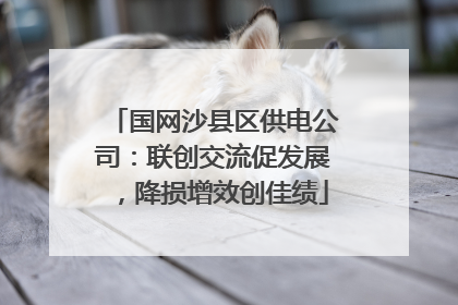 国网沙县区供电公司：联创交流促发展，降损增效创佳绩
