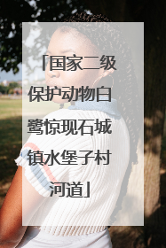 国家二级保护动物白鹭惊现石城镇水堡子村河道