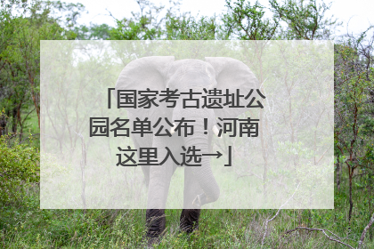 国家考古遗址公园名单公布！河南这里入选→