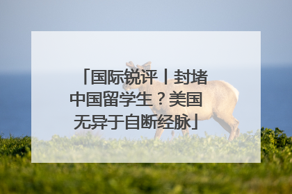 国际锐评丨封堵中国留学生？美国无异于自断经脉