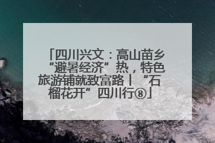 四川兴文：高山苗乡“避暑经济”热，特色旅游铺就致富路丨“石榴花开”四川行⑧