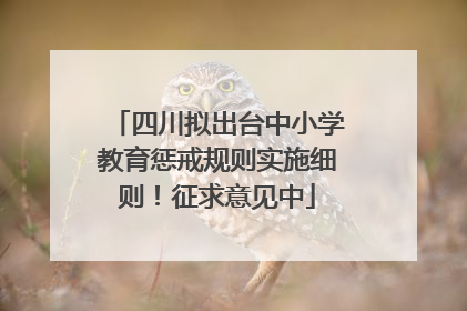 四川拟出台中小学教育惩戒规则实施细则！征求意见中