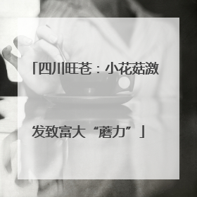 四川旺苍：小花菇激发致富大“蘑力”