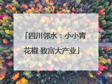 四川邻水：小小青花椒 致富大产业