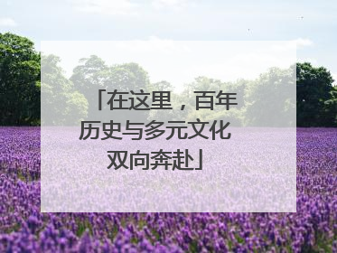 在这里，百年历史与多元文化双向奔赴