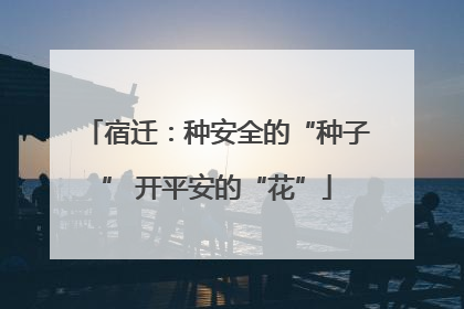 宿迁：种安全的“种子” 开平安的“花”