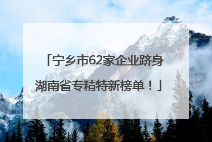 宁乡市62家企业跻身湖南省专精特新榜单！