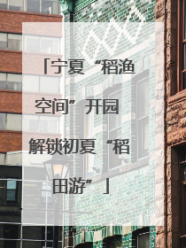 宁夏“稻渔空间”开园 解锁初夏“稻田游”