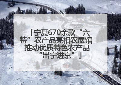 宁夏670余款“六特”农产品亮相农展馆 推动优质特色农产品“出宁进京”