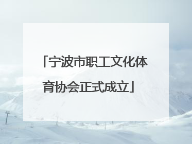 宁波市职工文化体育协会正式成立