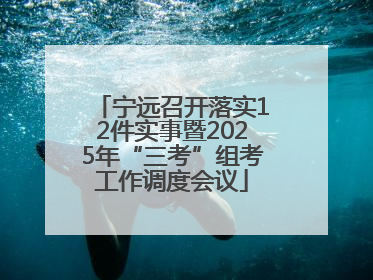 宁远召开落实12件实事暨2025年“三考”组考工作调度会议