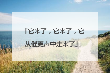 它来了，它来了，它从催更声中走来了