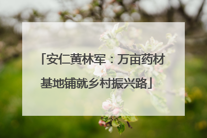 安仁黄林军：万亩药材基地铺就乡村振兴路