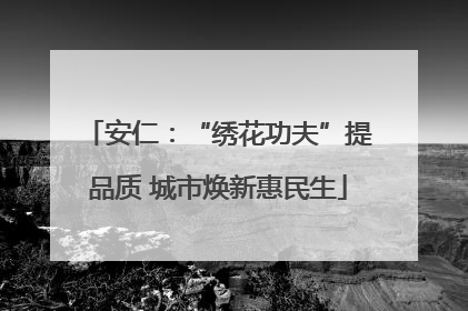安仁：“绣花功夫”提品质 城市焕新惠民生