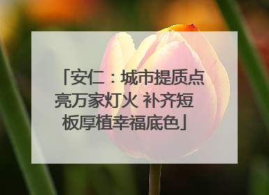 安仁：城市提质点亮万家灯火 补齐短板厚植幸福底色