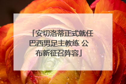 安切洛蒂正式就任巴西男足主教练 公布新征召阵容