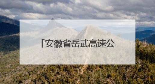 安徽省岳武高速公路路政大队等七家单位到岳西县特教学校开展爱心志愿活动