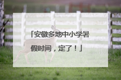 安徽多地中小学暑假时间，定了！