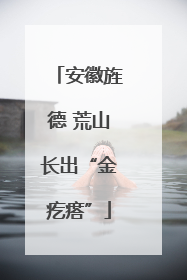 安徽旌德 荒山长出“金疙瘩”
