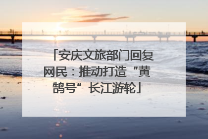 安庆文旅部门回复网民：推动打造“黄鹄号”长江游轮