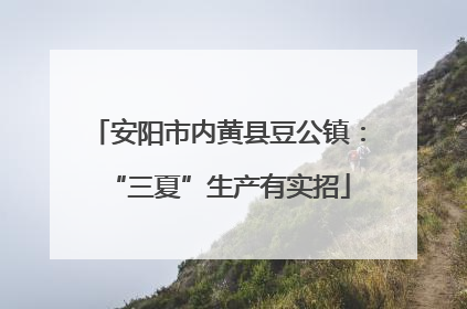 安阳市内黄县豆公镇：“三夏”生产有实招
