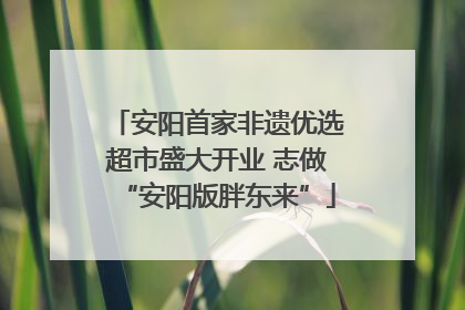 安阳首家非遗优选超市盛大开业 志做“安阳版胖东来”